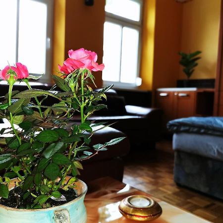 Lehel Apartman Keszthely Exterior foto